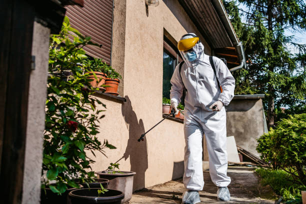 Best Mosquito Control Services  in Reform, AL