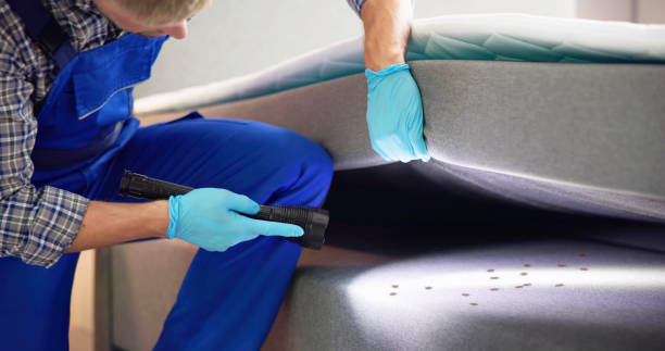 Best Pest Prevention Services  in Reform, AL