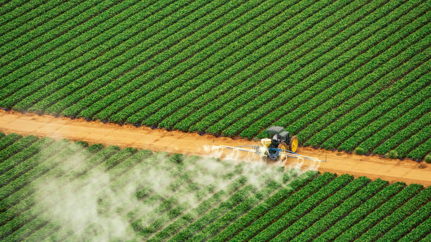 Best Pest Inspection Near Me  in Reform, AL