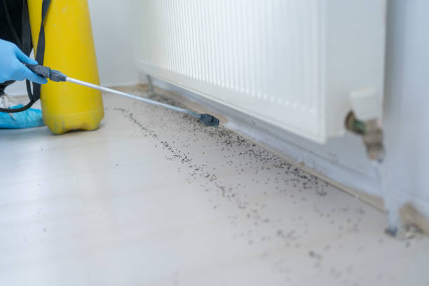 Best Pest Removal Services  in Reform, AL
