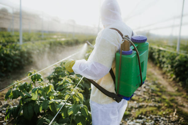 Best Residential Pest Control  in Reform, AL